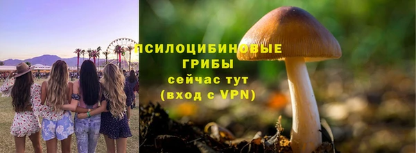 прущие крисы Алзамай