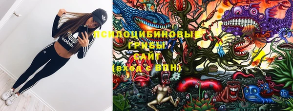 первитин Алексеевка
