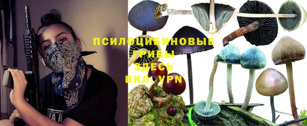 первитин Алексеевка