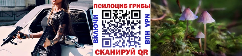 shop наркотические препараты  Сольвычегодск  Псилоцибиновые грибы мицелий 