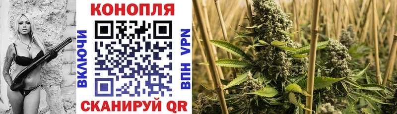 Каннабис сатива Сольвычегодск