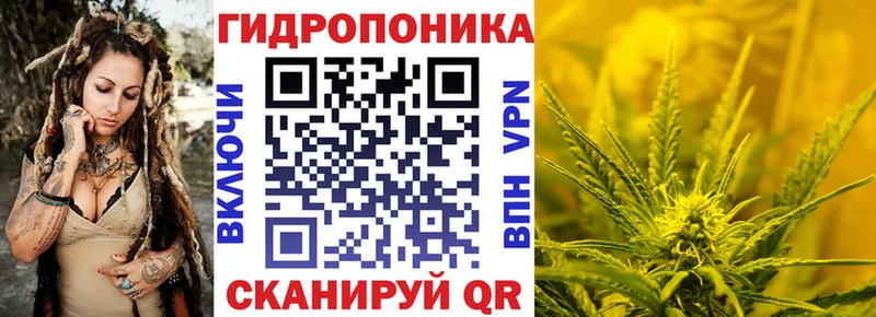 Каннабис планчик  Сольвычегодск 